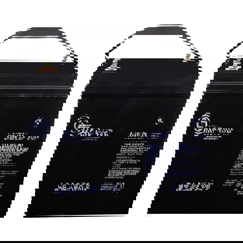 AGM Battery: Lead-Acid